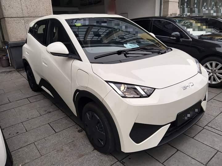 Фото 4 - BYD Seagull