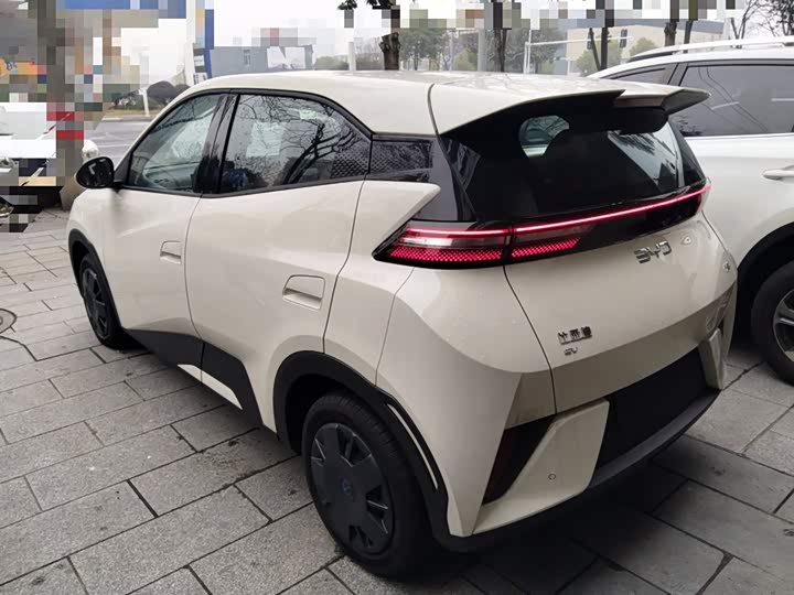 Фото 5 - BYD Seagull