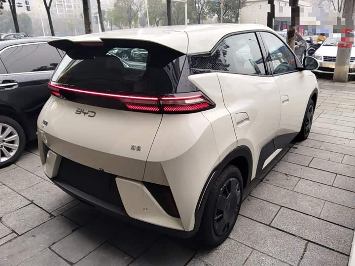 Фото 7 - BYD Seagull