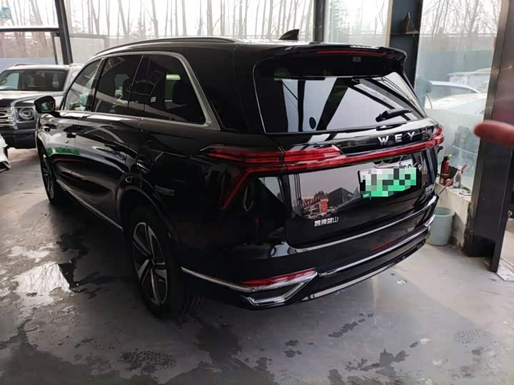 Фото 5 - Wey Lanshan