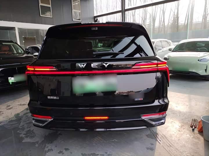 Фото 6 - Wey Lanshan