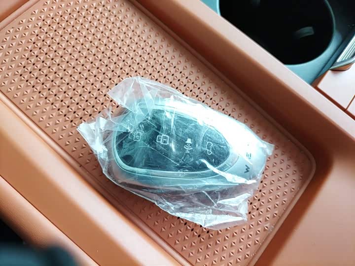 Фото 9 - Wey Lanshan