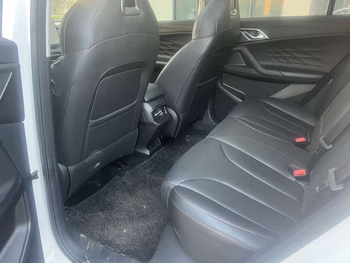 Фото 7 - Roewe RX5