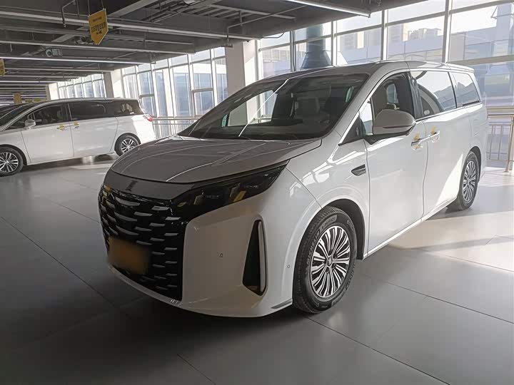 Фото 2 - BYD Xia