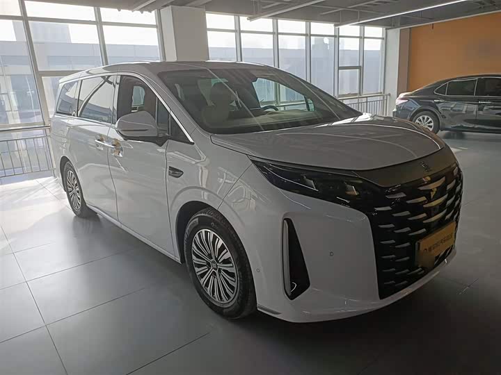 Фото 4 - BYD Xia