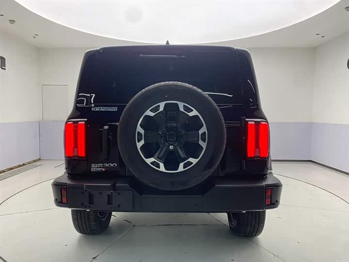 Фото 6 - Tank 300 Hybrid