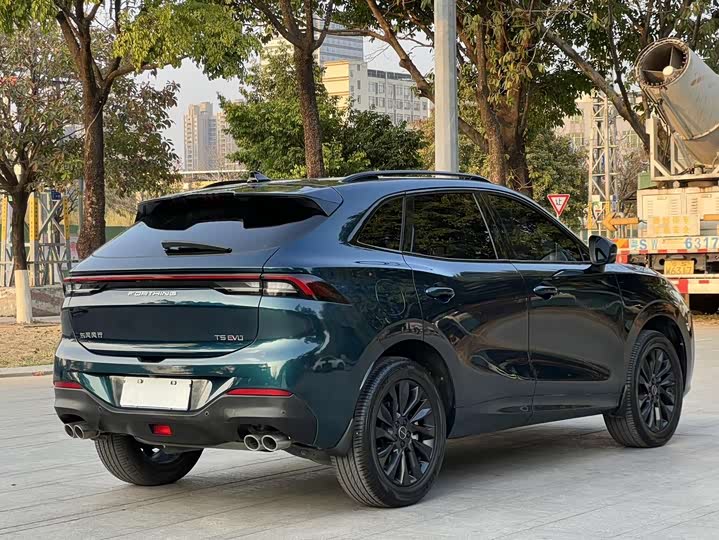 Фото 4 - Dongfeng Forthing T5 EVO