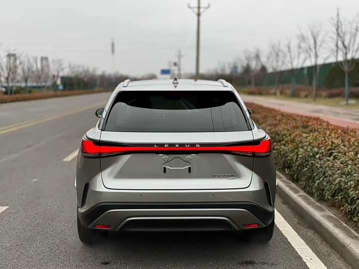 Фото 4 - Lexus RX