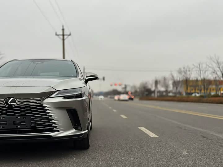 Фото 5 - Lexus RX