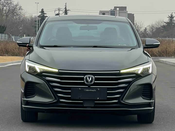 Фото 2 - Changan Eado Plus