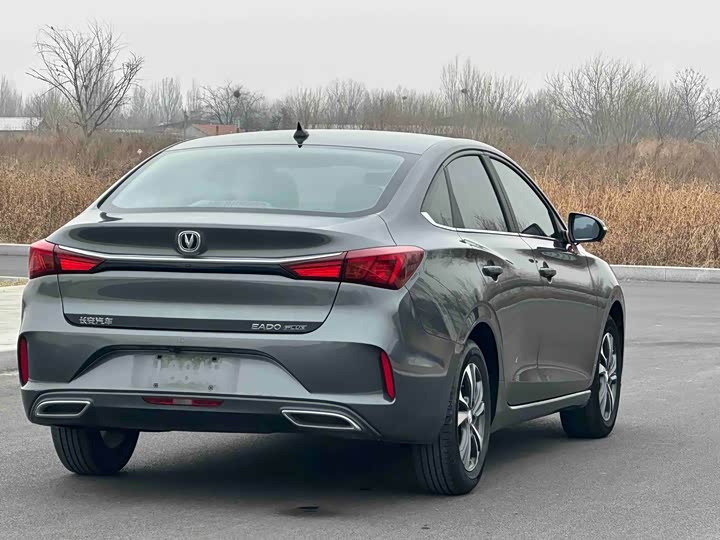 Фото 4 - Changan Eado Plus