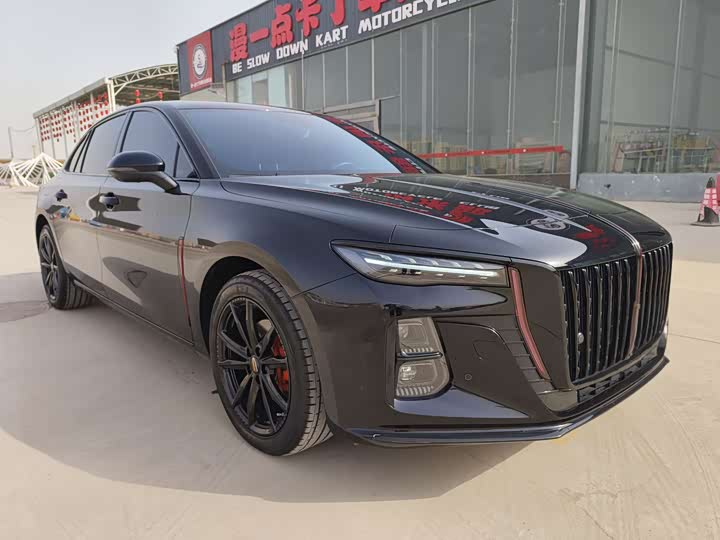 Фото 3 - Hongqi H5