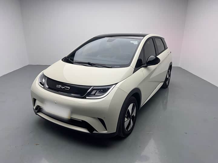 Фото 1 - BYD Dolphin
