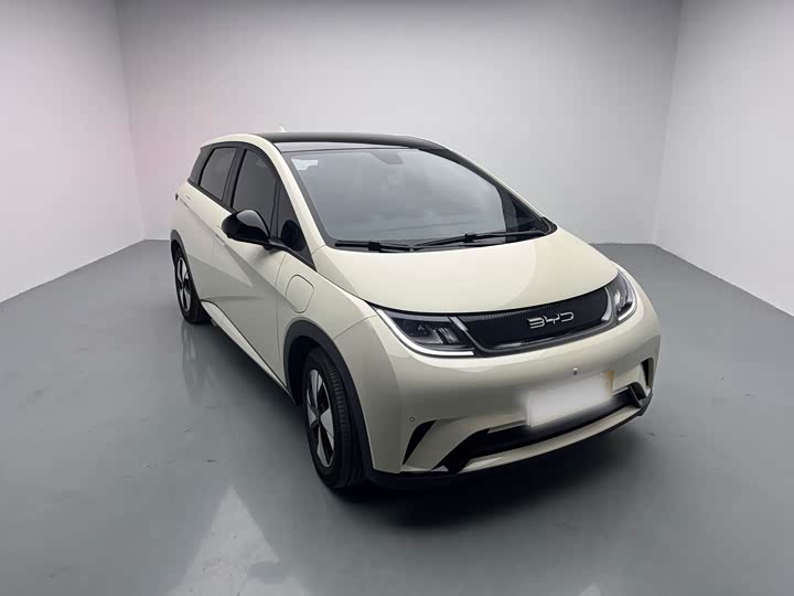 Фото 3 - BYD Dolphin