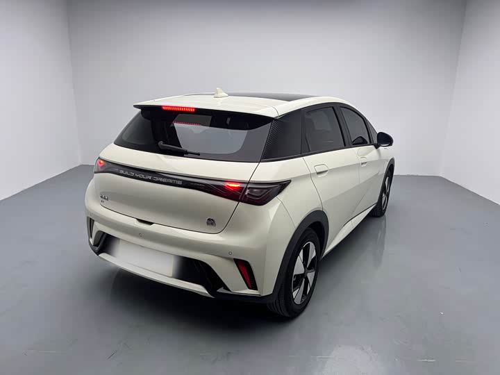 Фото 4 - BYD Dolphin