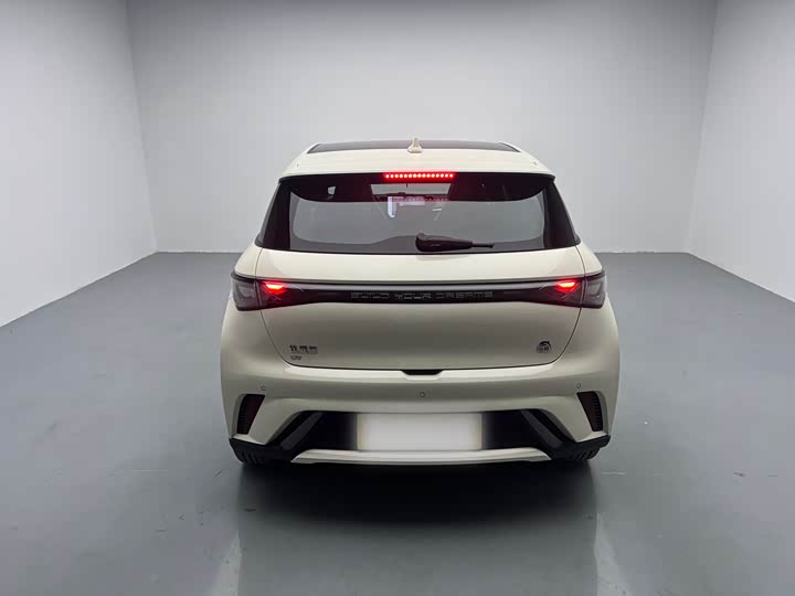 Фото 5 - BYD Dolphin