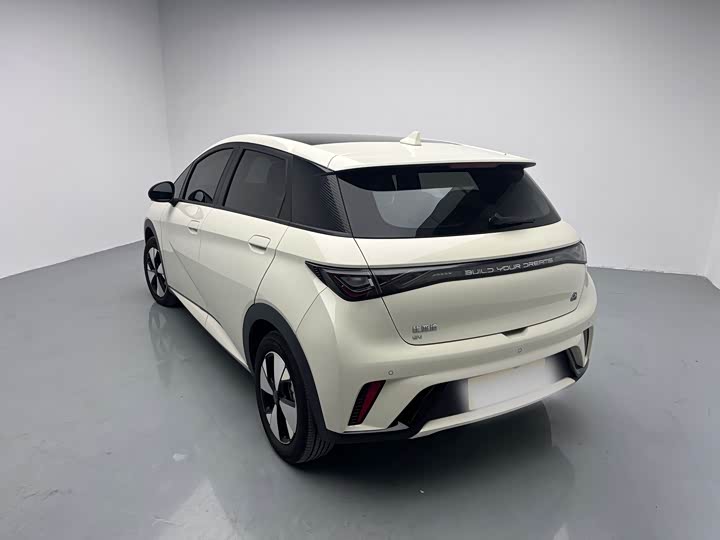 Фото 6 - BYD Dolphin