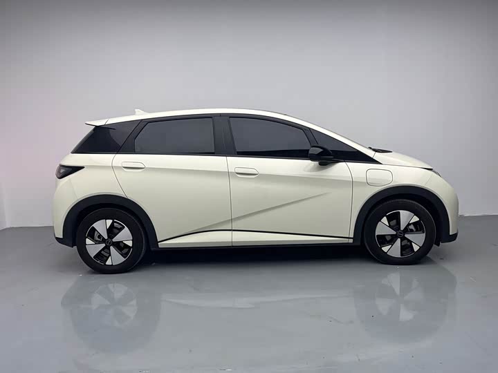 Фото 7 - BYD Dolphin