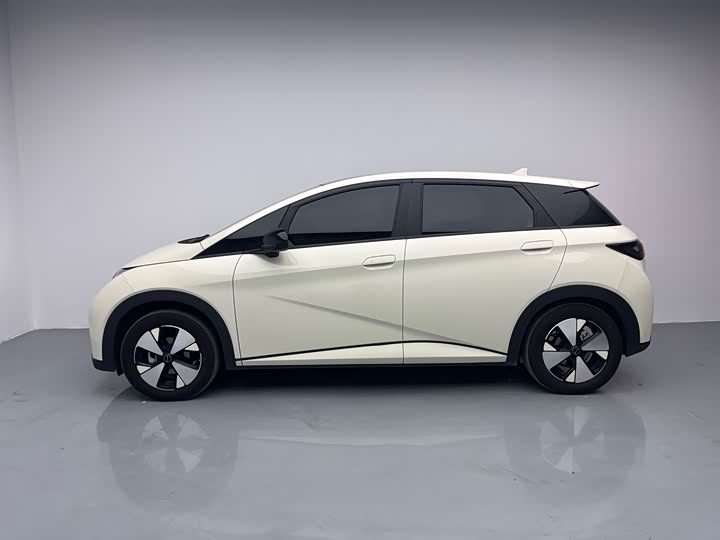 Фото 8 - BYD Dolphin