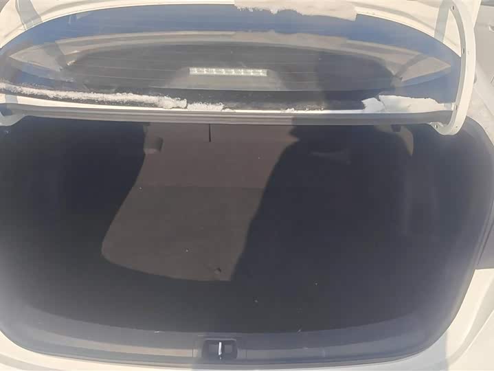 Фото 4 - Toyota Levin