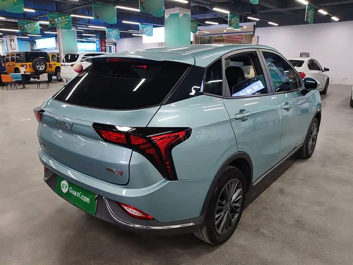 Фото 7 - Hozon V