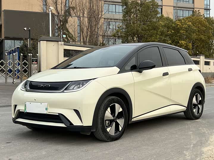 Фото 1 - BYD Dolphin