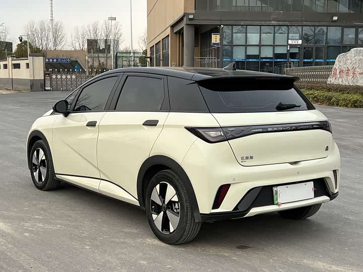 Фото 4 - BYD Dolphin