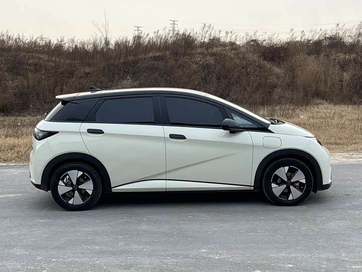 Фото 5 - BYD Dolphin