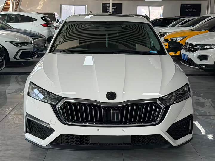 Фото 3 - Skoda Octavia Pro