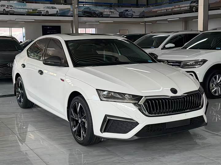 Фото 4 - Skoda Octavia Pro