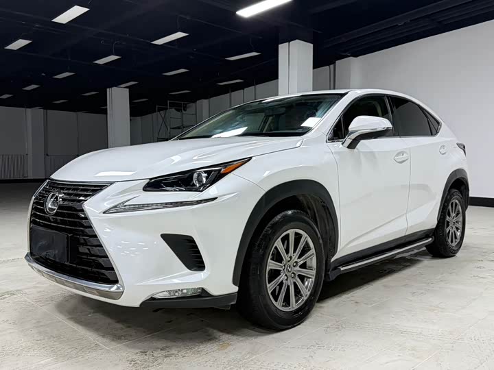 Фото 1 - Lexus NX