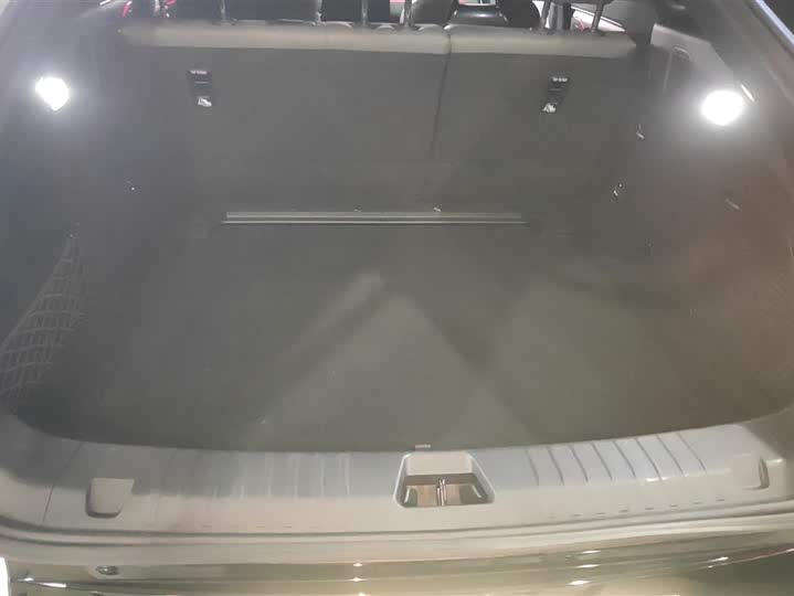 Фото 4 - BYD Song L