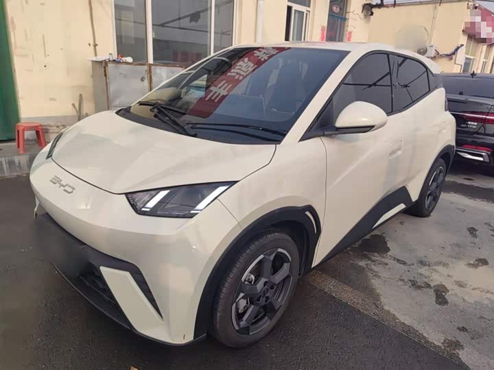 Фото 2 - BYD Seagull