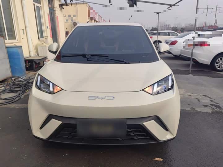 Фото 3 - BYD Seagull