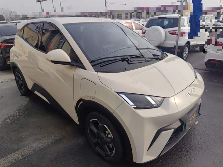 Фото 4 - BYD Seagull