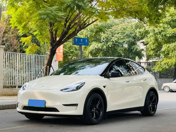 Фото 1 - Tesla Model Y