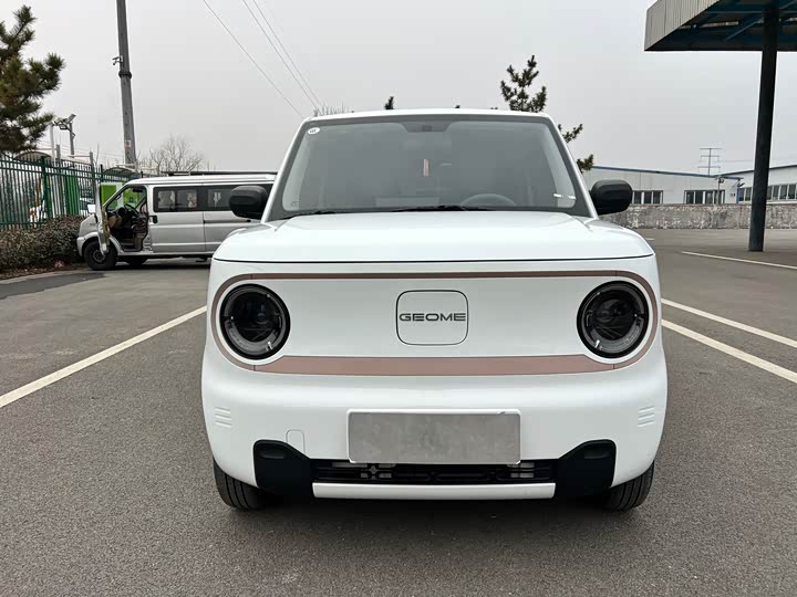 Фото 2 - Geely Galaxy Panda Mini