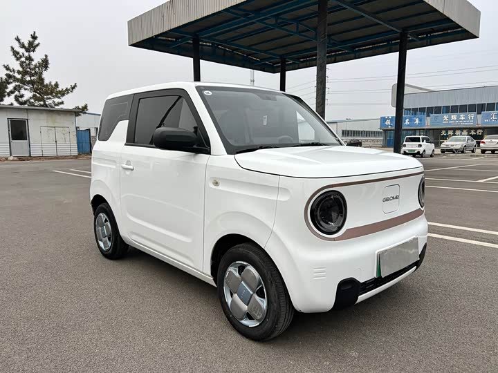 Фото 3 - Geely Galaxy Panda Mini