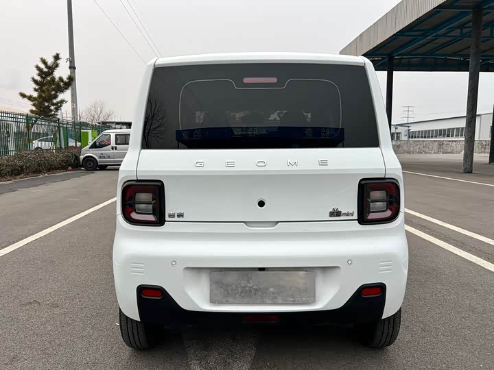 Фото 6 - Geely Galaxy Panda Mini