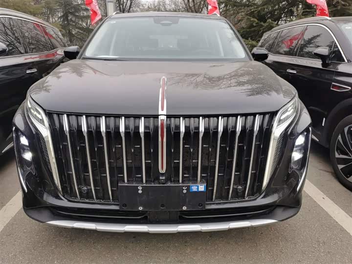 Фото 3 - Hongqi HS7 Hybrid