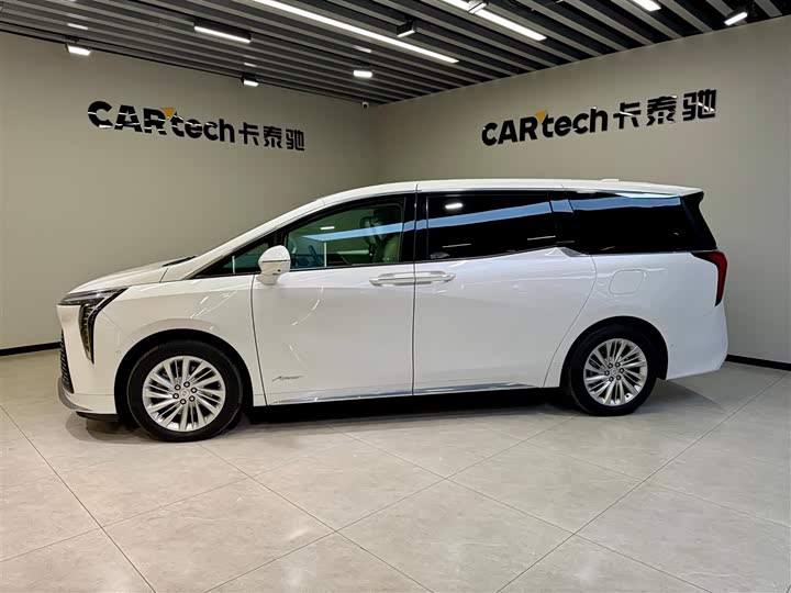 Фото 7 - Buick GL8 Century