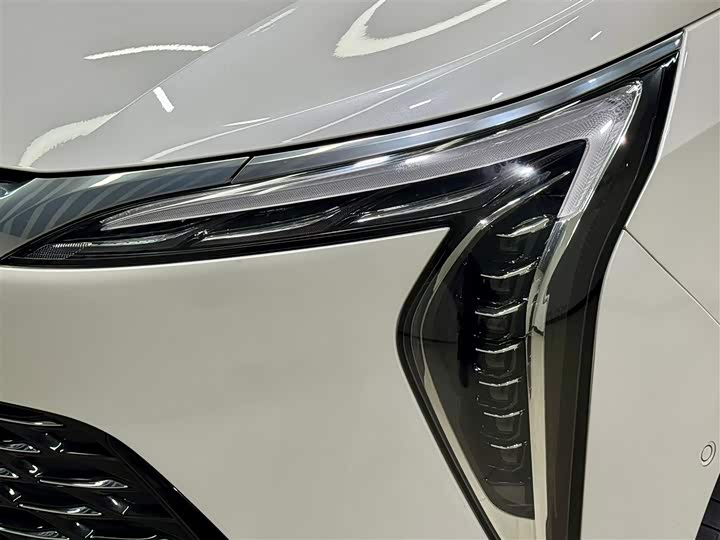 Фото 8 - Buick GL8 Century