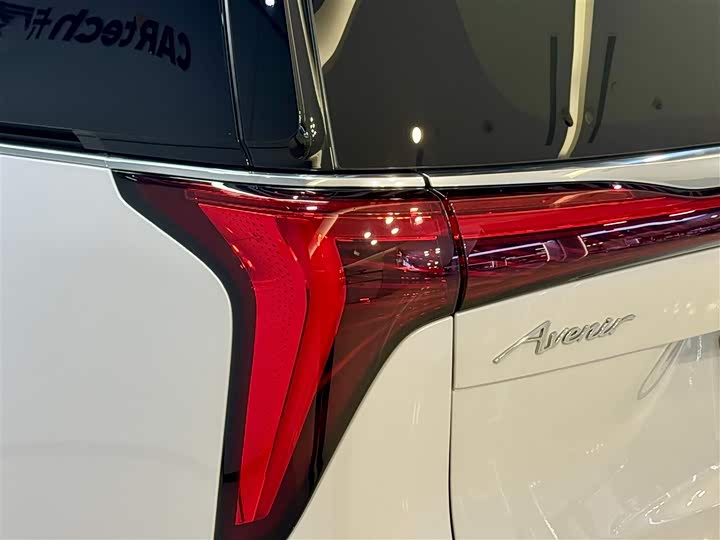 Фото 9 - Buick GL8 Century