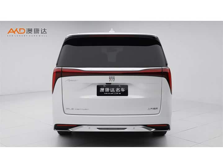 Фото 4 - Buick GL8 Century