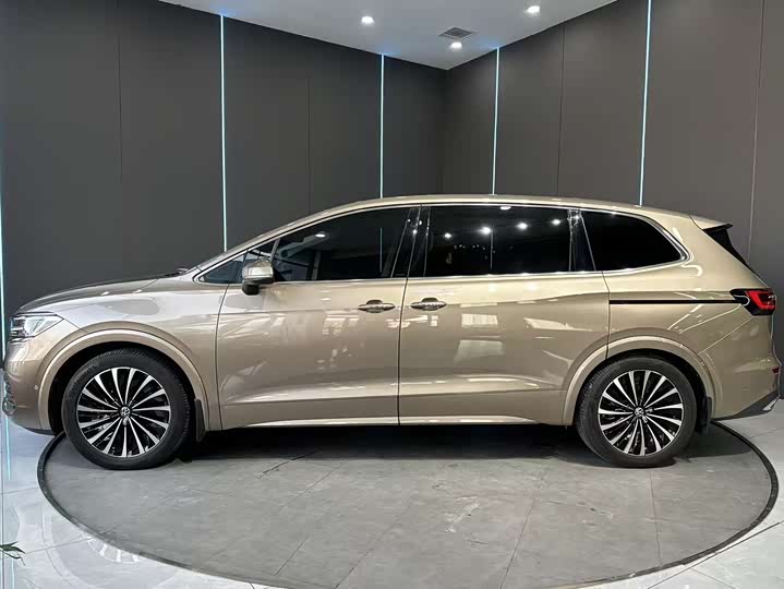 Фото 4 - Volkswagen Viloran