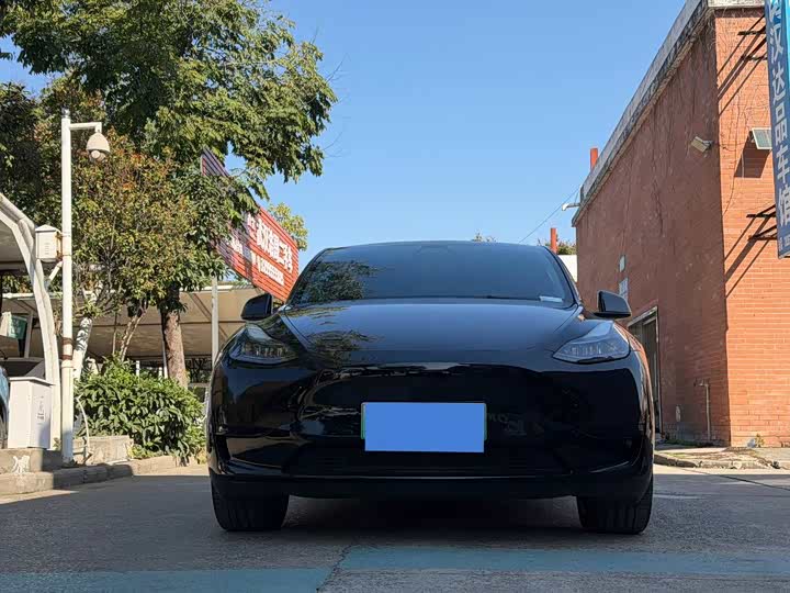 Фото 2 - Tesla Model Y