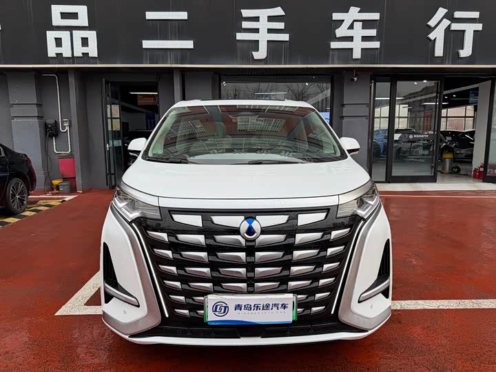 Фото 1 - Denza D9