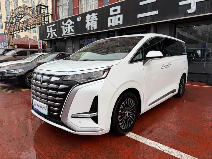 Фото 2 - Denza D9