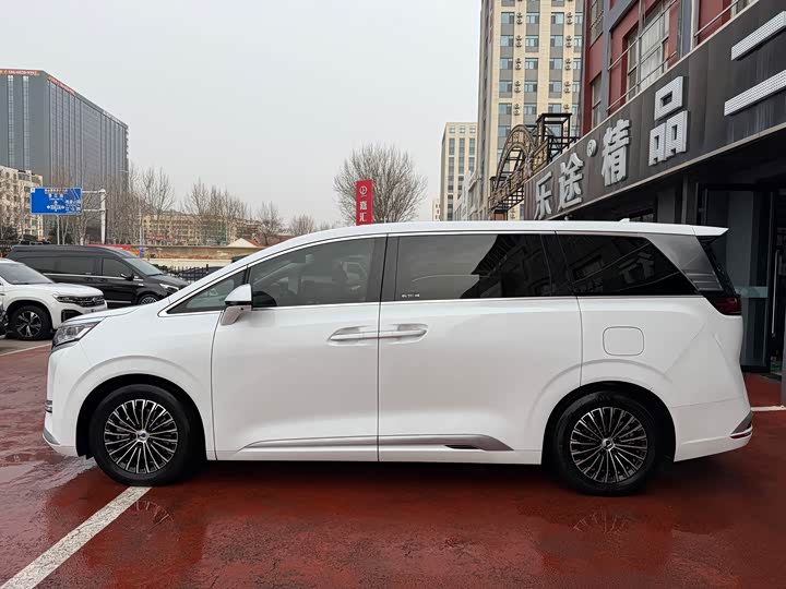 Фото 3 - Denza D9