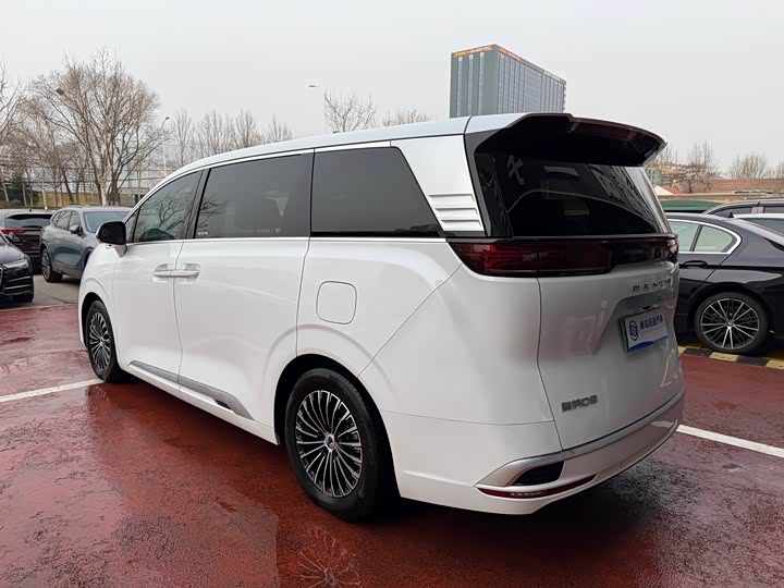 Фото 4 - Denza D9